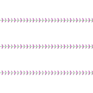 BHUNGLI SEQUENCE 2.5MM & 3MM 0008