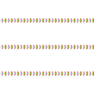 BHUNGLI SEQUENCE 2.5MM & 3MM 0009