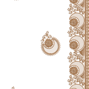 SOUTH SAREE UPS0261