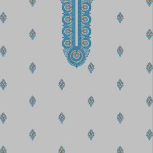 Long suit with panel top and dupatta 204