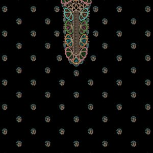 Long suit with panel top and dupatta  71