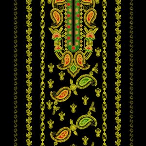 Long suit with panel top and dupatta  7