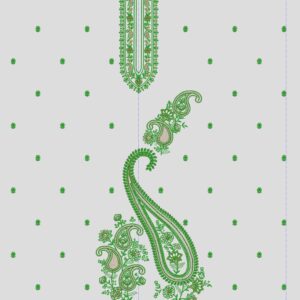 Long suit with panel top and dupatta 23