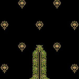 Long suit with panel top and dupatta 31