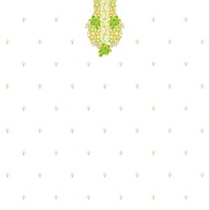 Long suit with panel top and dupatta 32