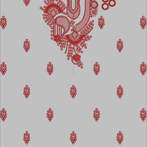 Long suit with panel top and dupatta 104
