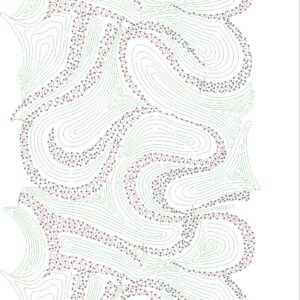Cording Shravani Designs 31