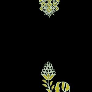 Long suit with panel top and dupatta 111