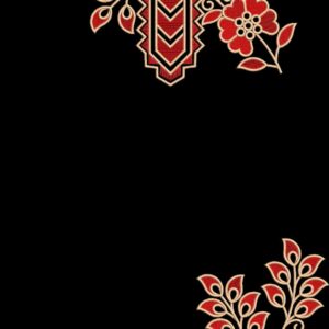 Long suit with panel top and dupatta 115