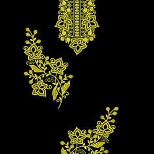 Long suit with panel top and dupatta 123