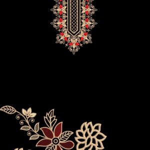 Long suit with panel top and dupatta 134