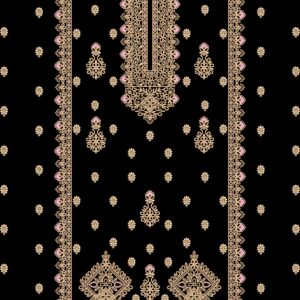 Long suit with panel top and dupatta 15
