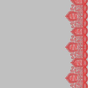 South Concept Saree 78