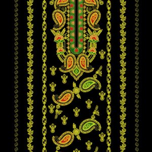 Long suit with panel top and dupatta 242