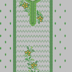 Long suit with panel top and dupatta 244
